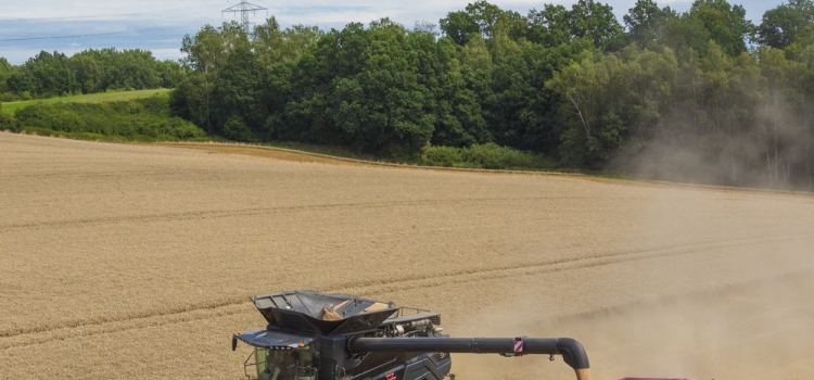 AGCO-RM проведет онлайн-премьеру нового революционного комбайна Massey Ferguson® IDEAL