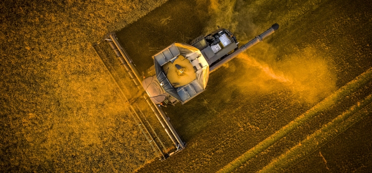 AGCO-RM представит комбайны IDEAL на «Золотой Ниве 2021»